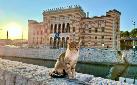 3-Day Sarajevo Itinerary: Culture, History, Nature